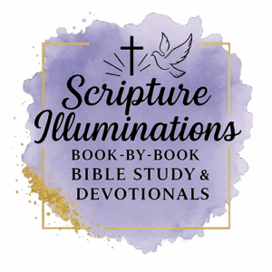 Scripture Illuminations Book-by-Book Bible Study & Devotional Series 500x500